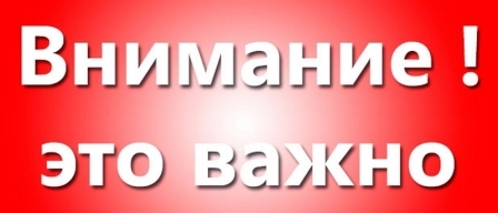 Стул в виде болотной тины